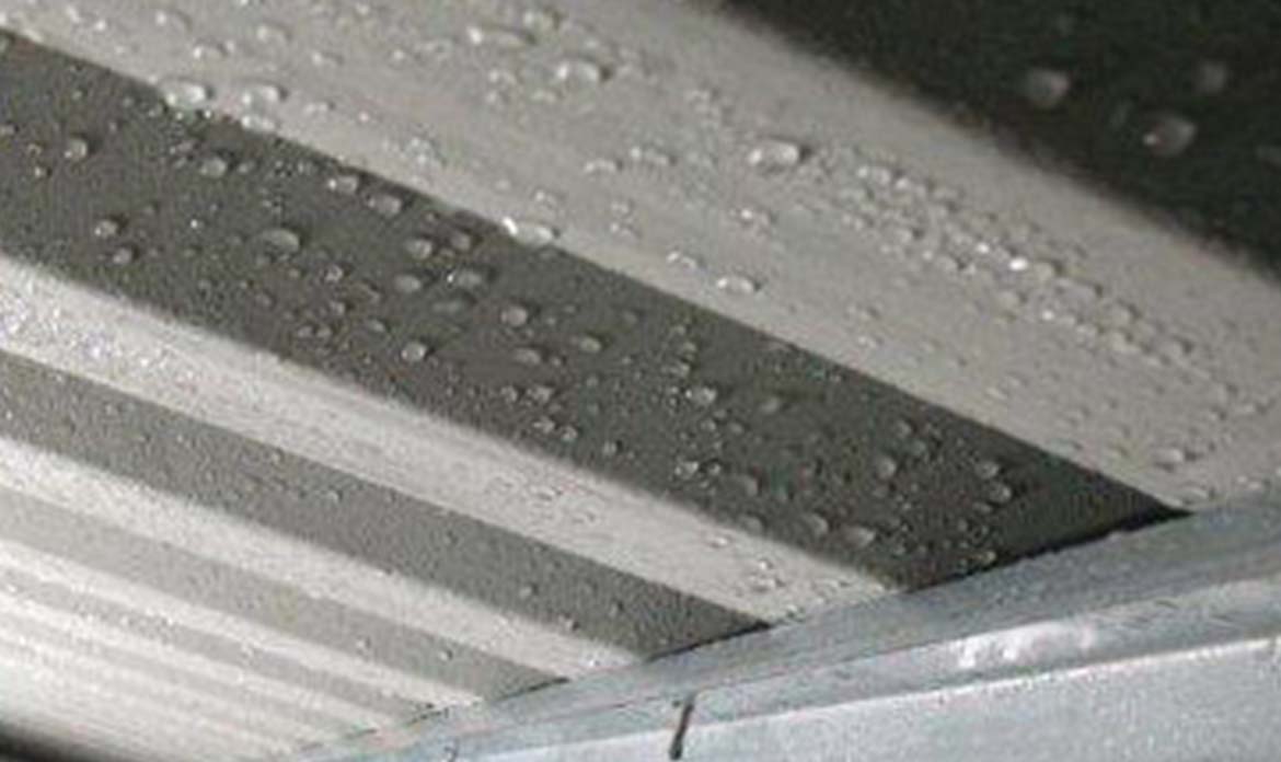 Condensation Under Long Run Corrugated Roofing: What Auckland Homeowners Need To Know